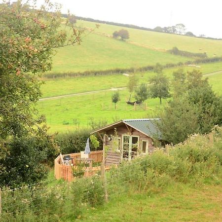 Woolcombe Cabin East Allington Zewnętrze zdjęcie